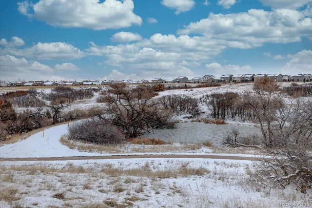 a view of a dry yard with wooden fence