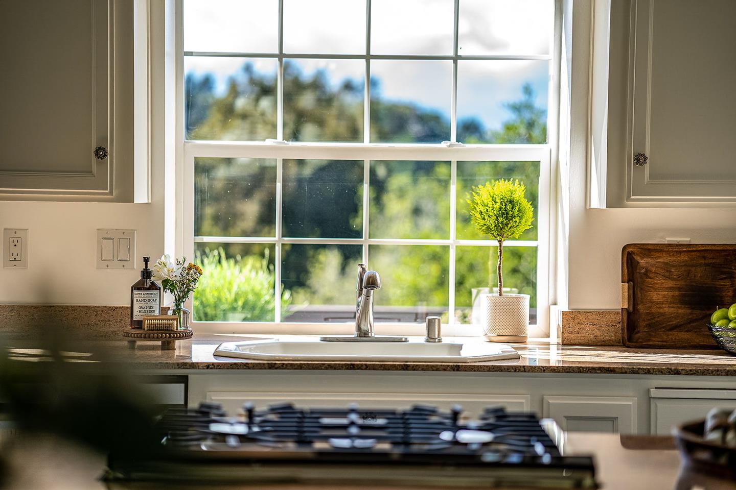 1170 Larkin Valley Road Watsonville, CA 95076 - Photo 11 of 63 Gallery Image 11
