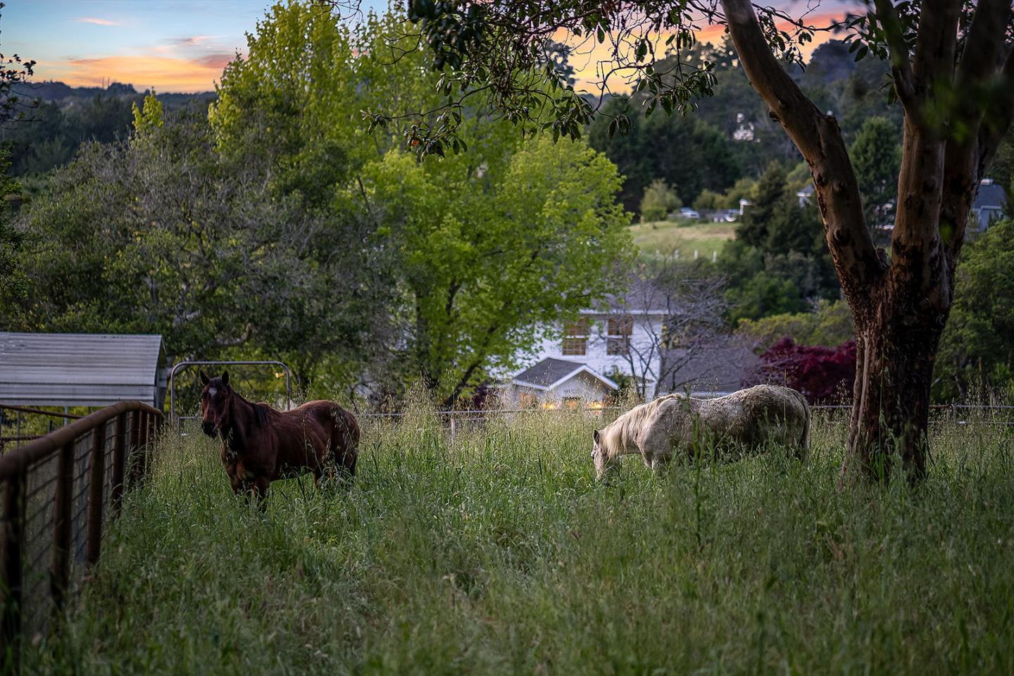 1170 Larkin Valley Road Watsonville, CA 95076 - Photo 58 of 63 Gallery Image 58