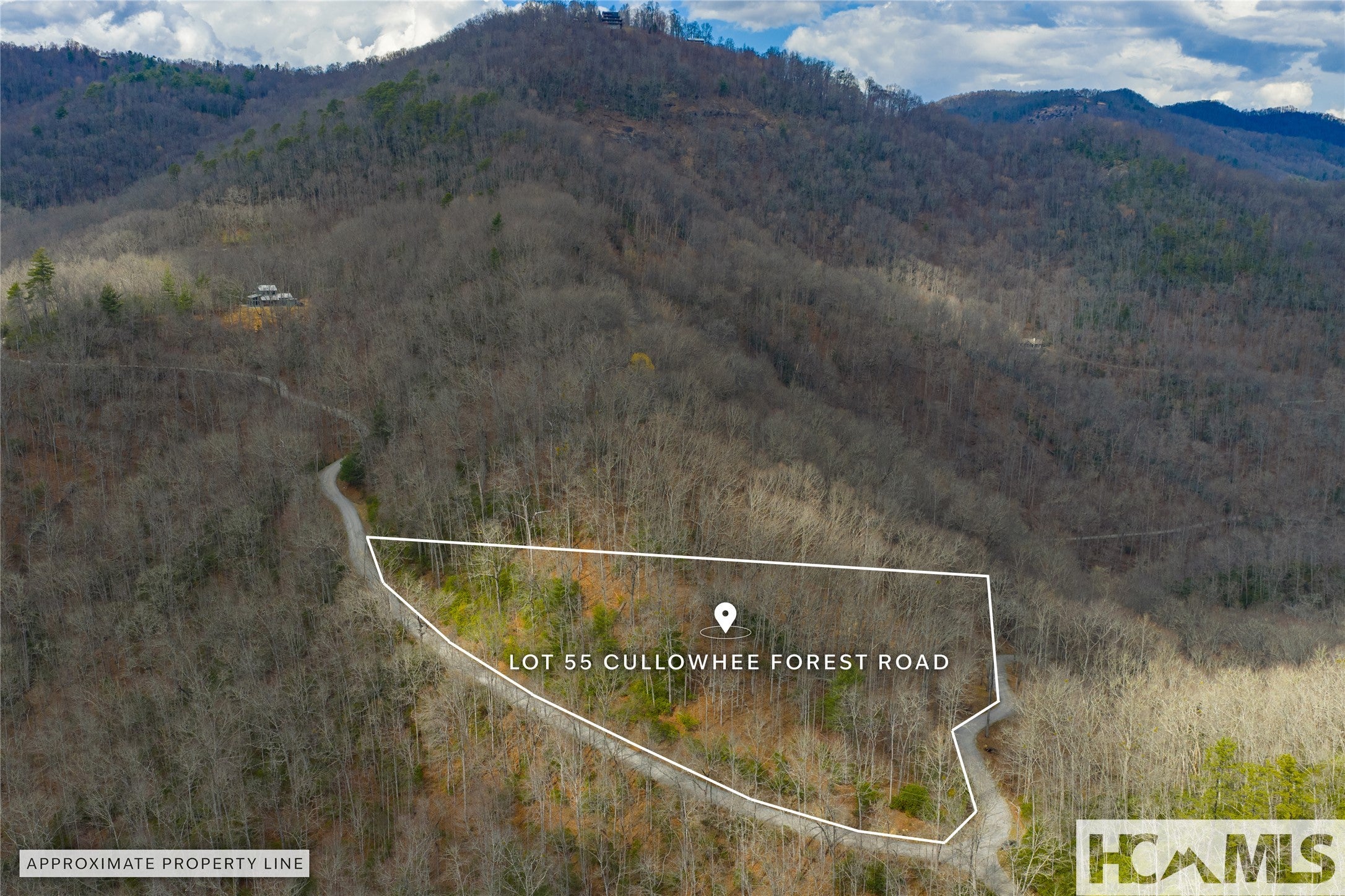 Lot 55 Cullowhee Forest Road Cullowhee, NC 28723 - Photo 19 of 32 Gallery Image 19