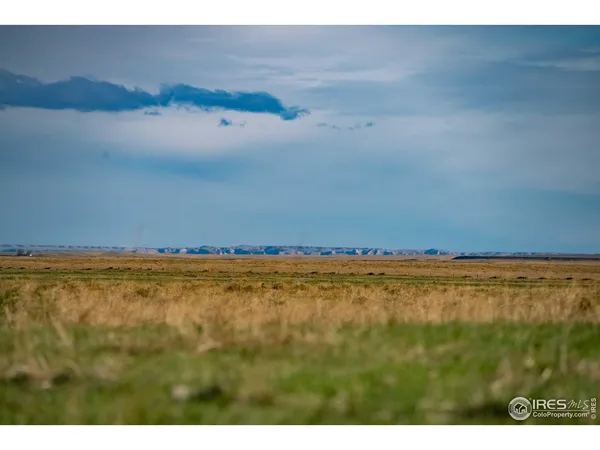 a view of an ocean beach