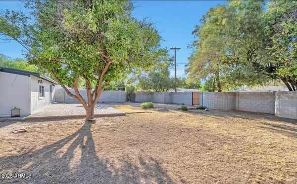 a backyard of a house with a trees