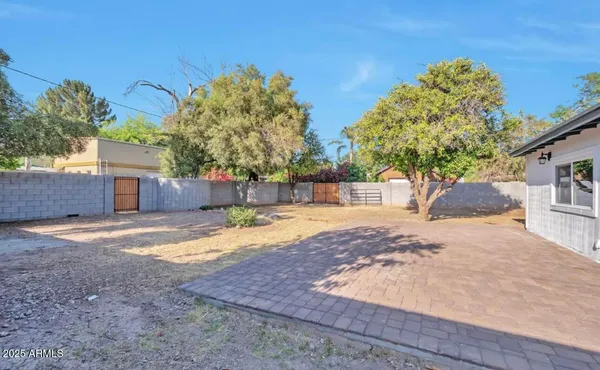 a view of a yard with plants and trees
