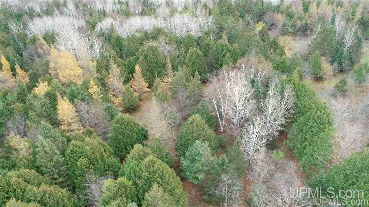 Tbd North Kendall Road Manistique, MI 49854 - Photo 16 of 17 Gallery Image 16