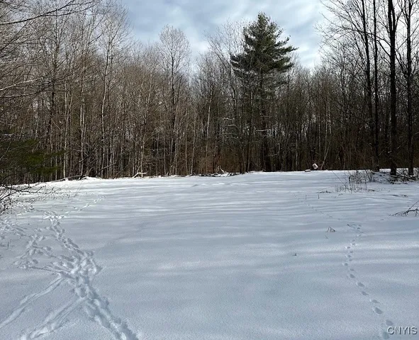 $82,900 | 206 Durgee Road, Orwell, NY 13302