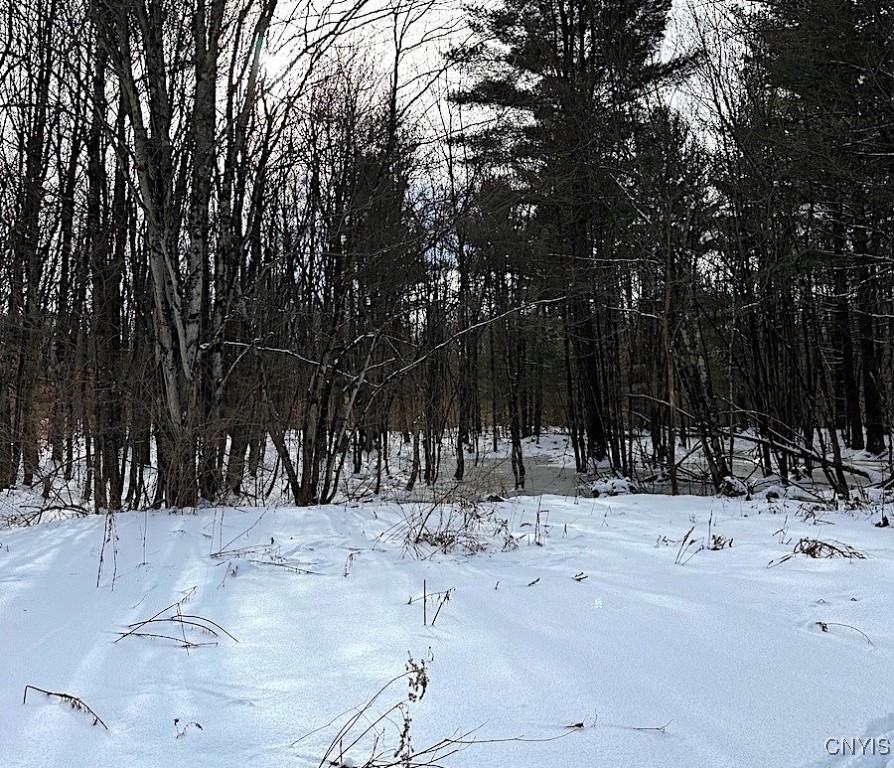 206 Durgee Road Orwell, NY 13302 - Photo 2 of 6