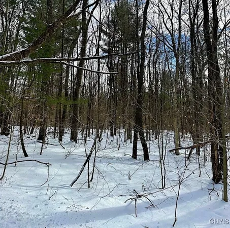 $82,900 | 206 Durgee Road, Orwell, NY 13302