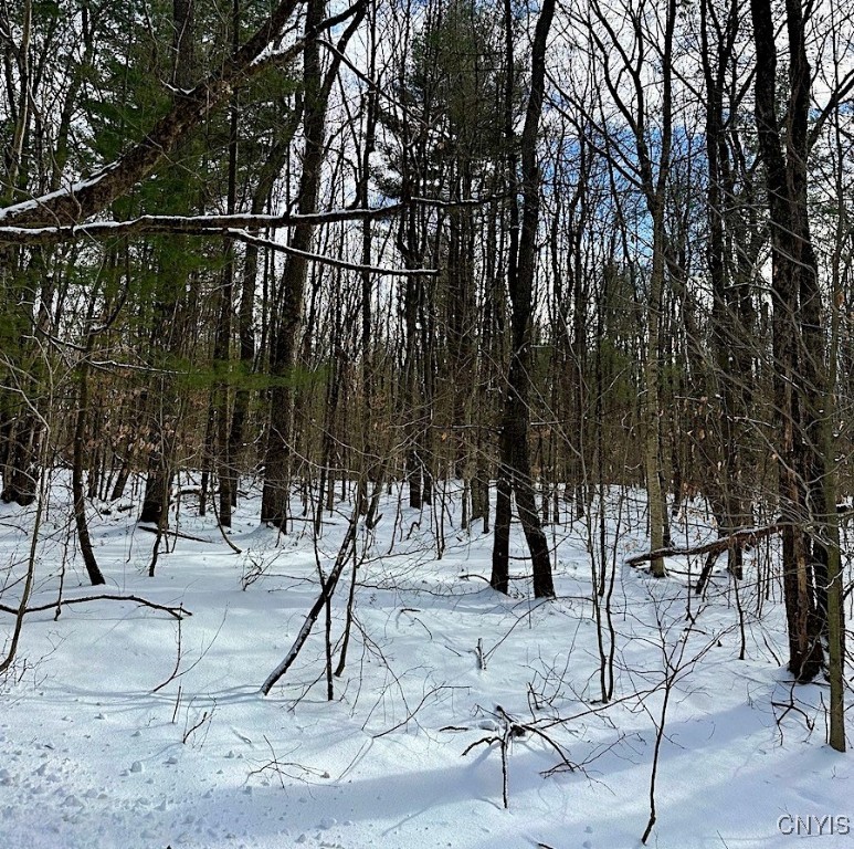 206 Durgee Road Orwell, NY 13302 - Photo 3 of 6