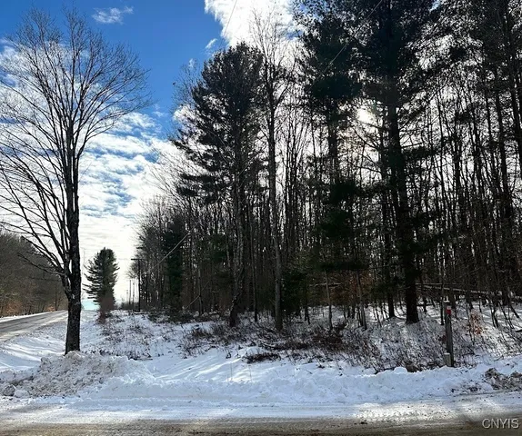 $82,900 | 206 Durgee Road, Orwell, NY 13302