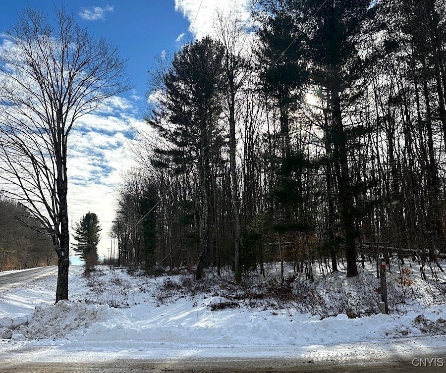 206 Durgee Road Orwell, NY 13302 - Photo 4 of 6