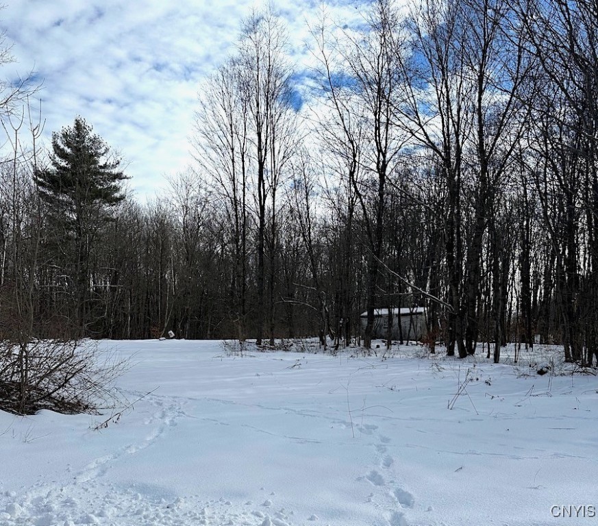 206 Durgee Road Orwell, NY 13302 - Photo 6 of 6