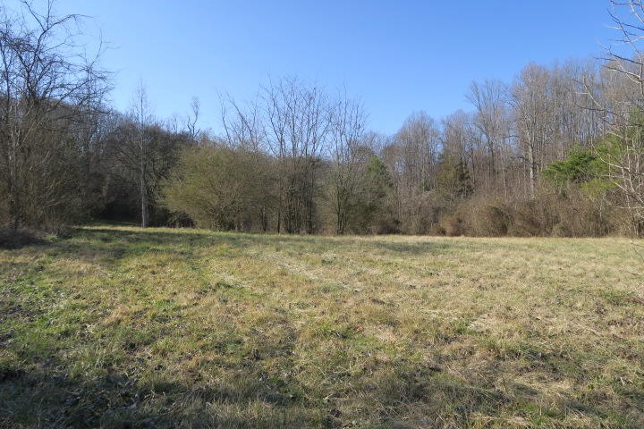 3726 Freels Road Friendsville, TN 37737 - Photo 22 of 26 Gallery Image 22