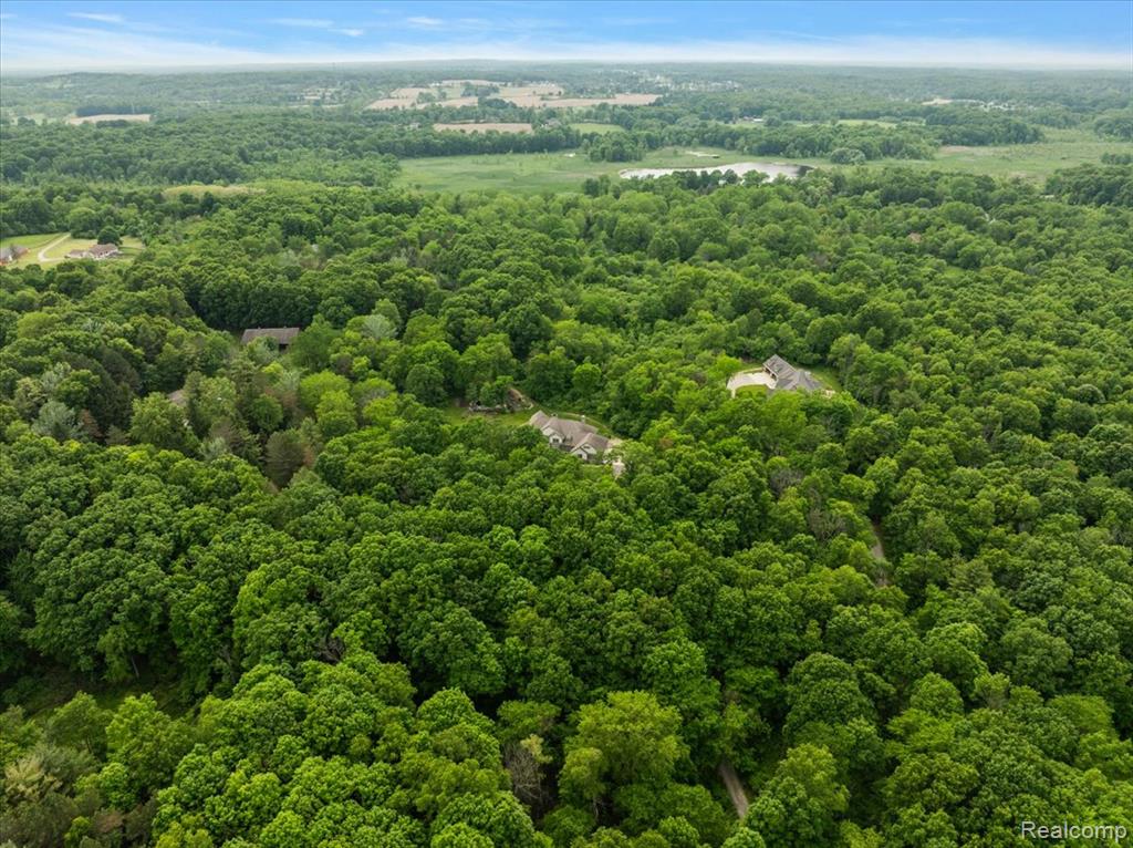 5432 Blood Road Metamora, MI 48455 - Photo 97 of 98