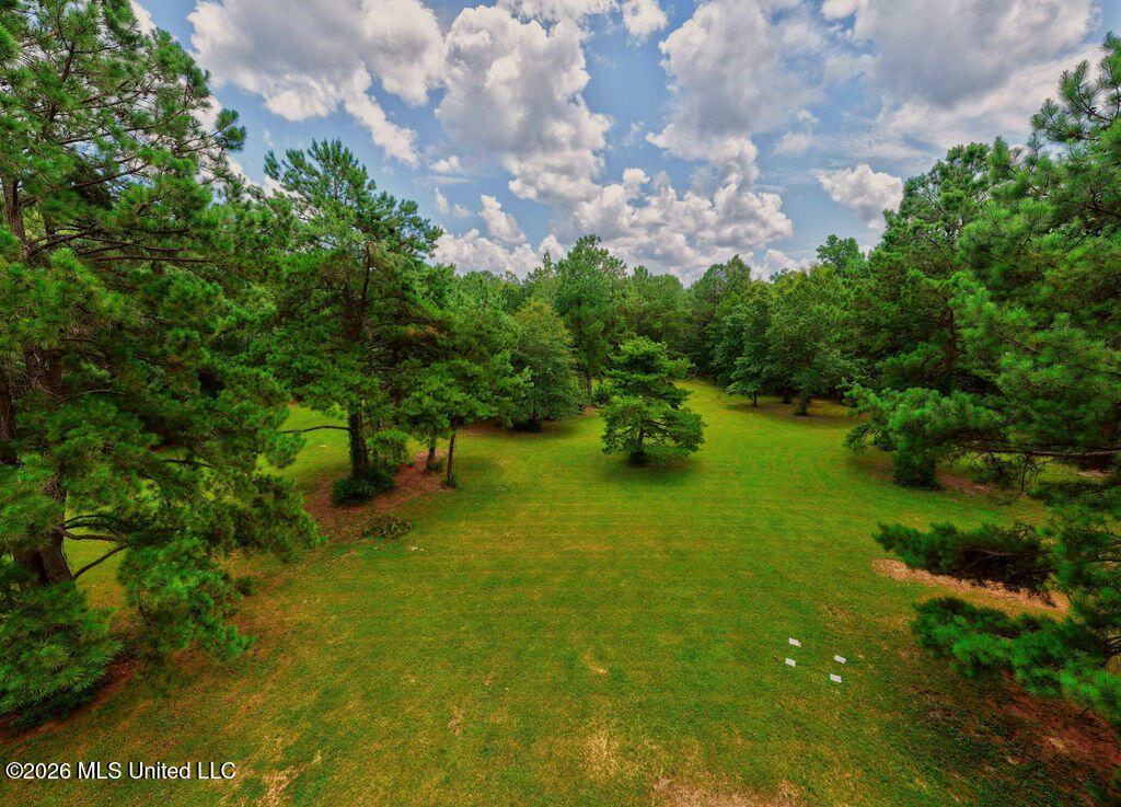 8400 Vestry Road Perkinston, MS 39573 - Photo 38 of 60 8400VestryRd.-26
