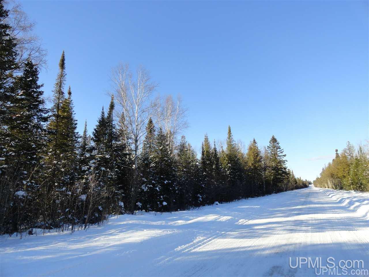 80-acres Co Rd N415 McMillan, MI 49853 - Photo 10 of 36