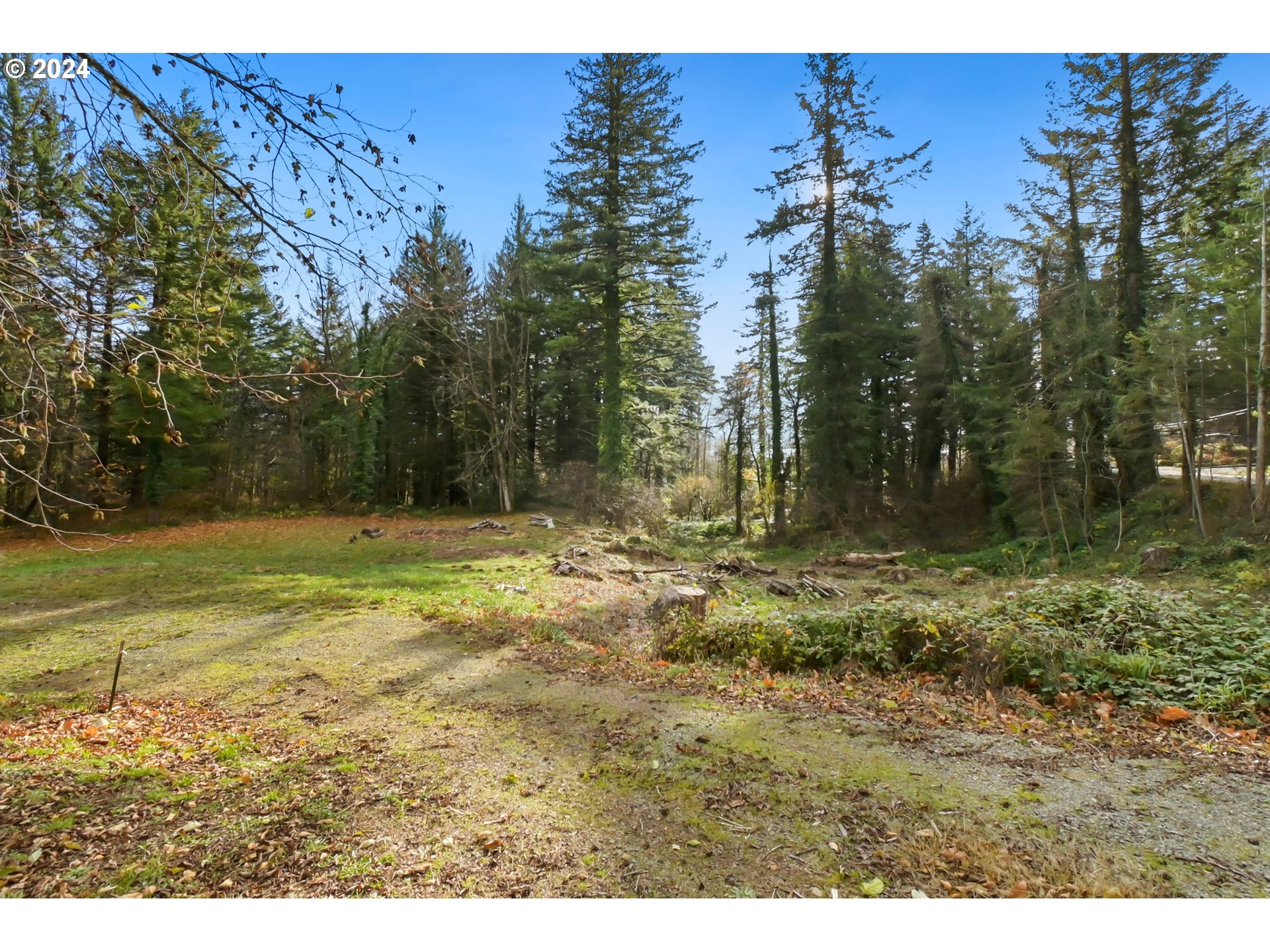 0 Northwest School (lot 2 Land) Road, Unit 2 Stevenson, WA 98648 - Photo 1 of 17