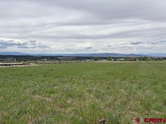 15736 2600th Road Cedaredge, CO 81413 - Photo 36 of 43 Gallery Image 36