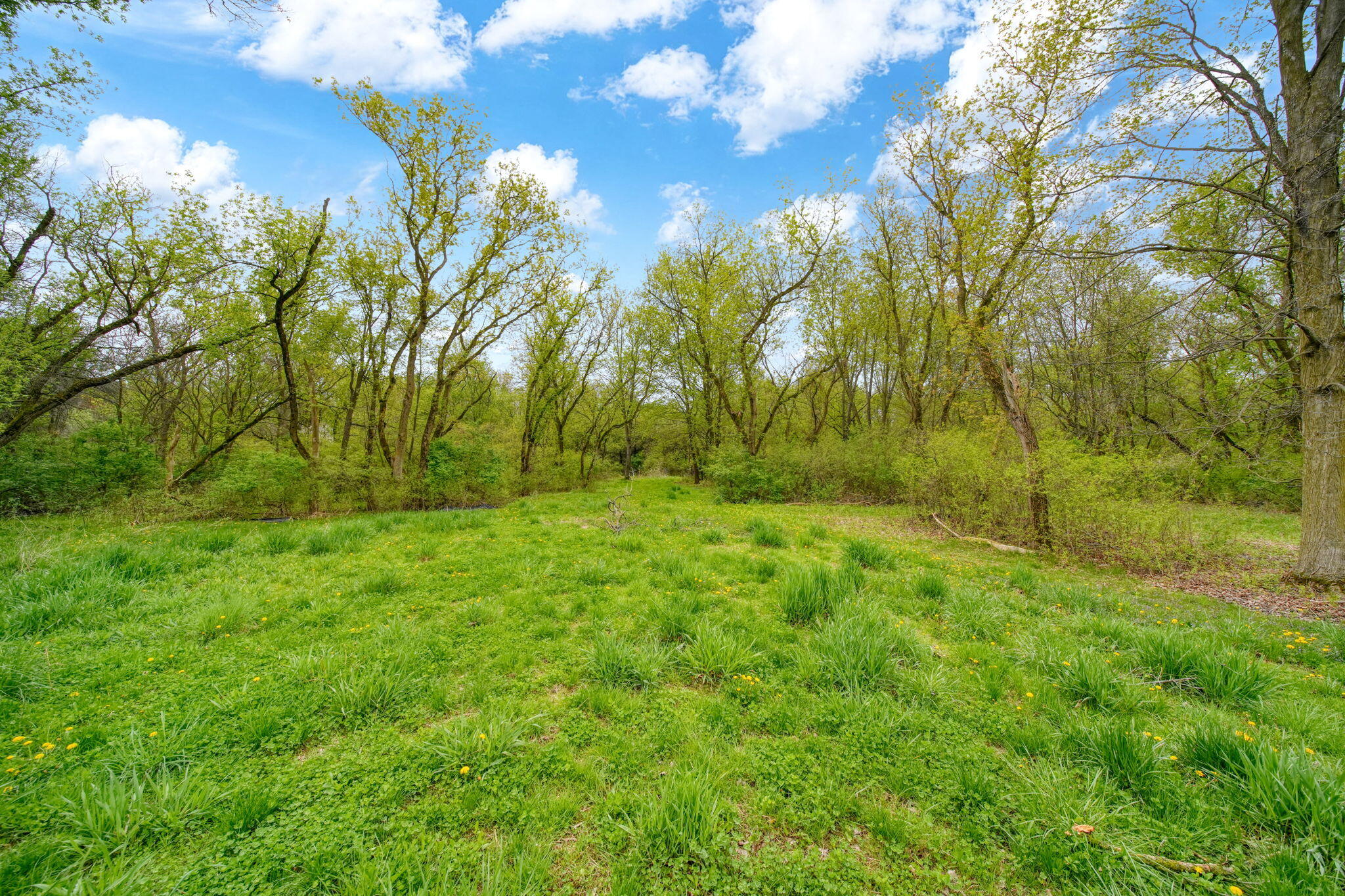 2185 West Barnes Road Leslie, MI 49251 - Photo 55 of 73 54-web-or-mls-DSC05599_HDR