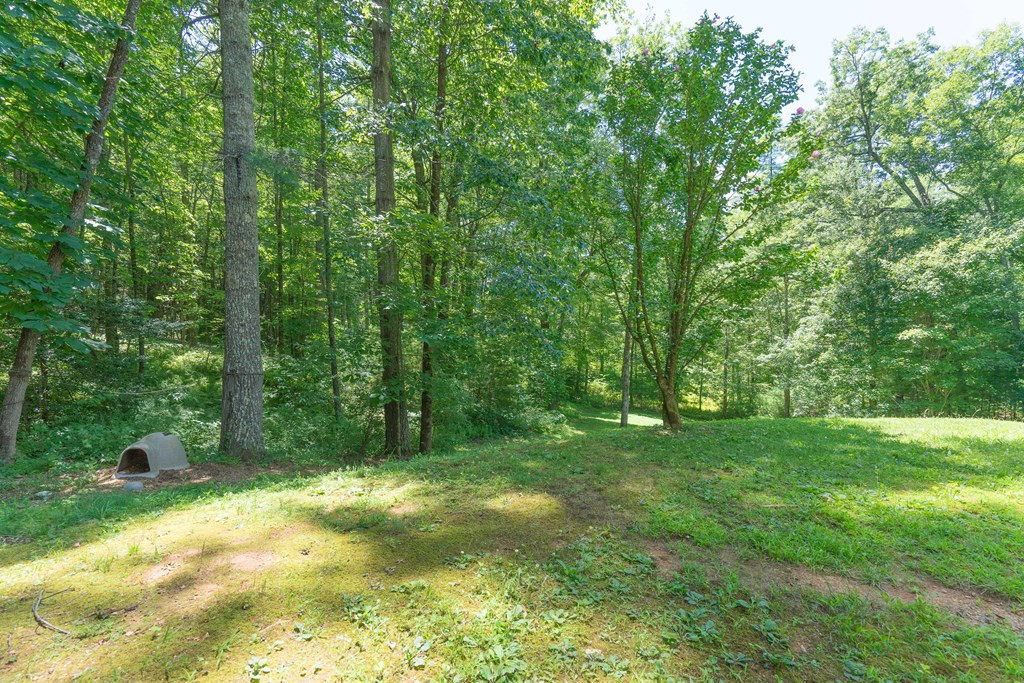 2704 Hi Top Road Hiawassee, GA 30546 - Photo 5 of 53 Gallery Image 5