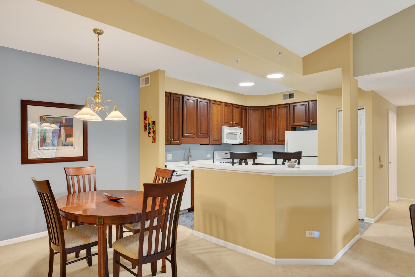1745 Pavilion Way, Unit 503 Park Ridge, IL 60068 - Photo 8 of 19 Gallery Image 8