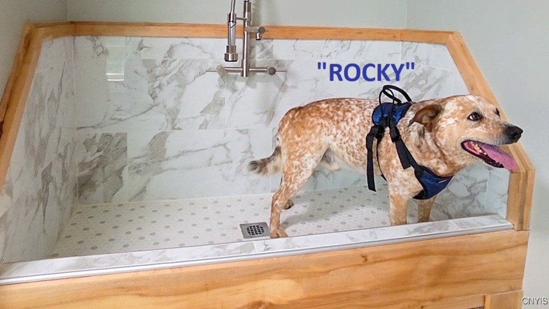 8914 Jackson Street Brutus, NY 13166 - Photo 26 of 50