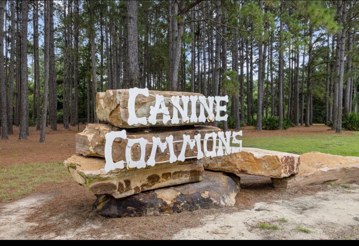 46 East Tweet Street Freeport, FL 32439 - Photo 50 of 59 Dog Park