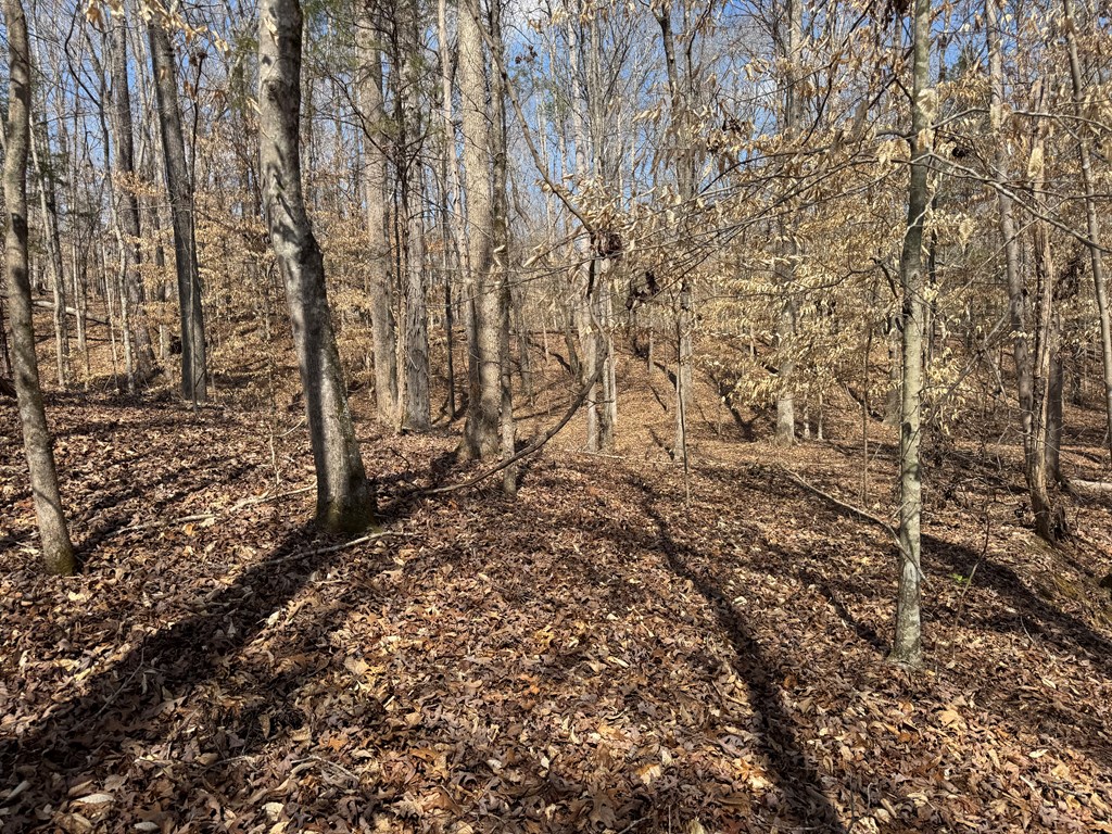 22 Stone Gate Farm Road Donalds, SC 29638 - Photo 11 of 26