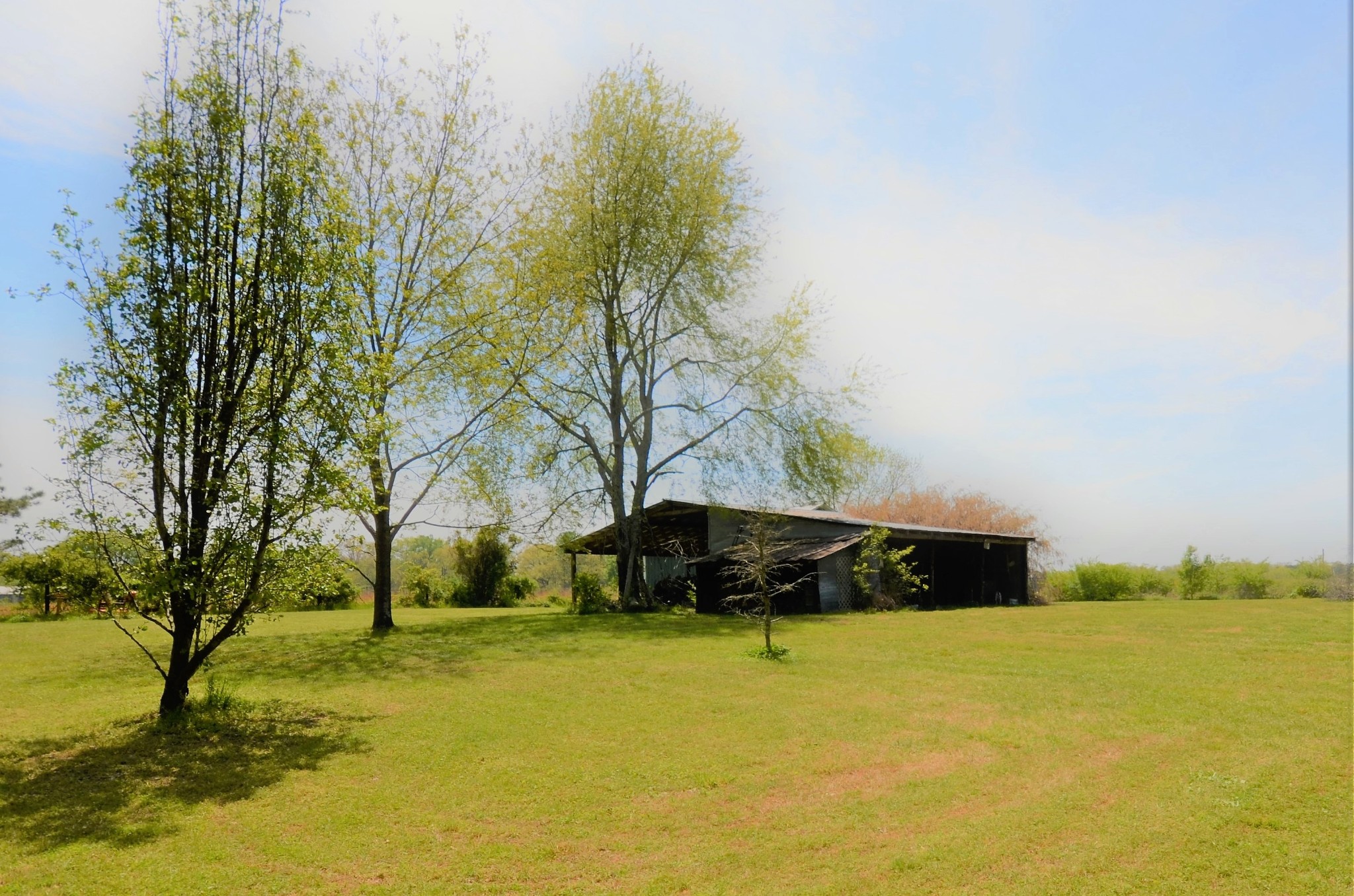 30 Remke Road Lawrenceburg, TN 38464 - Photo 35 of 49 a front view of a house with a yard