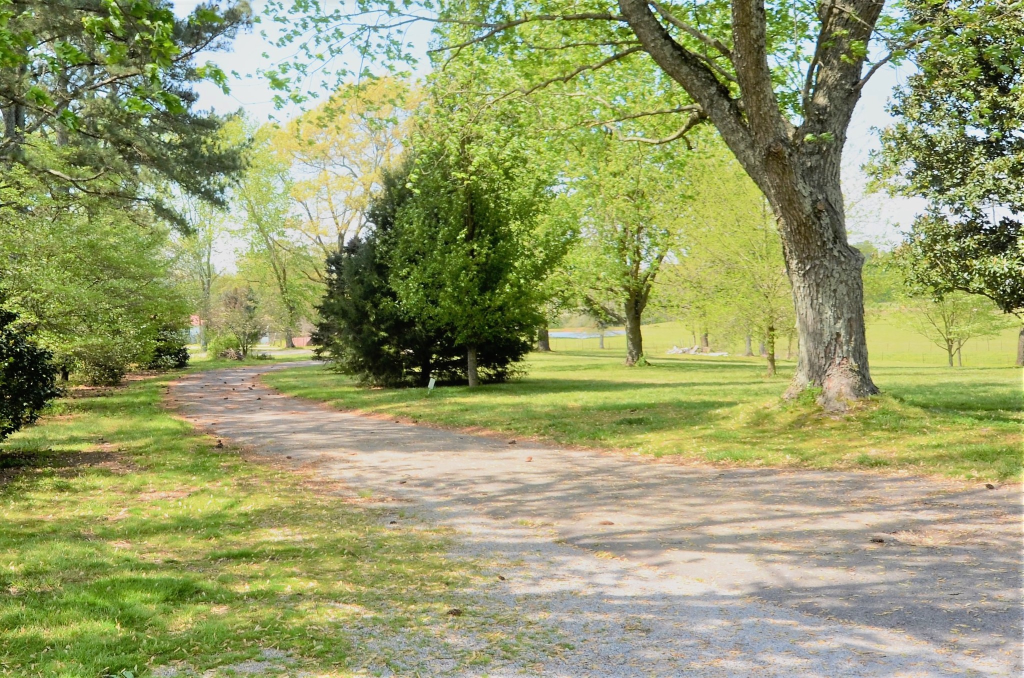 30 Remke Road Lawrenceburg, TN 38464 - Photo 38 of 49 a view of a trees in a yard