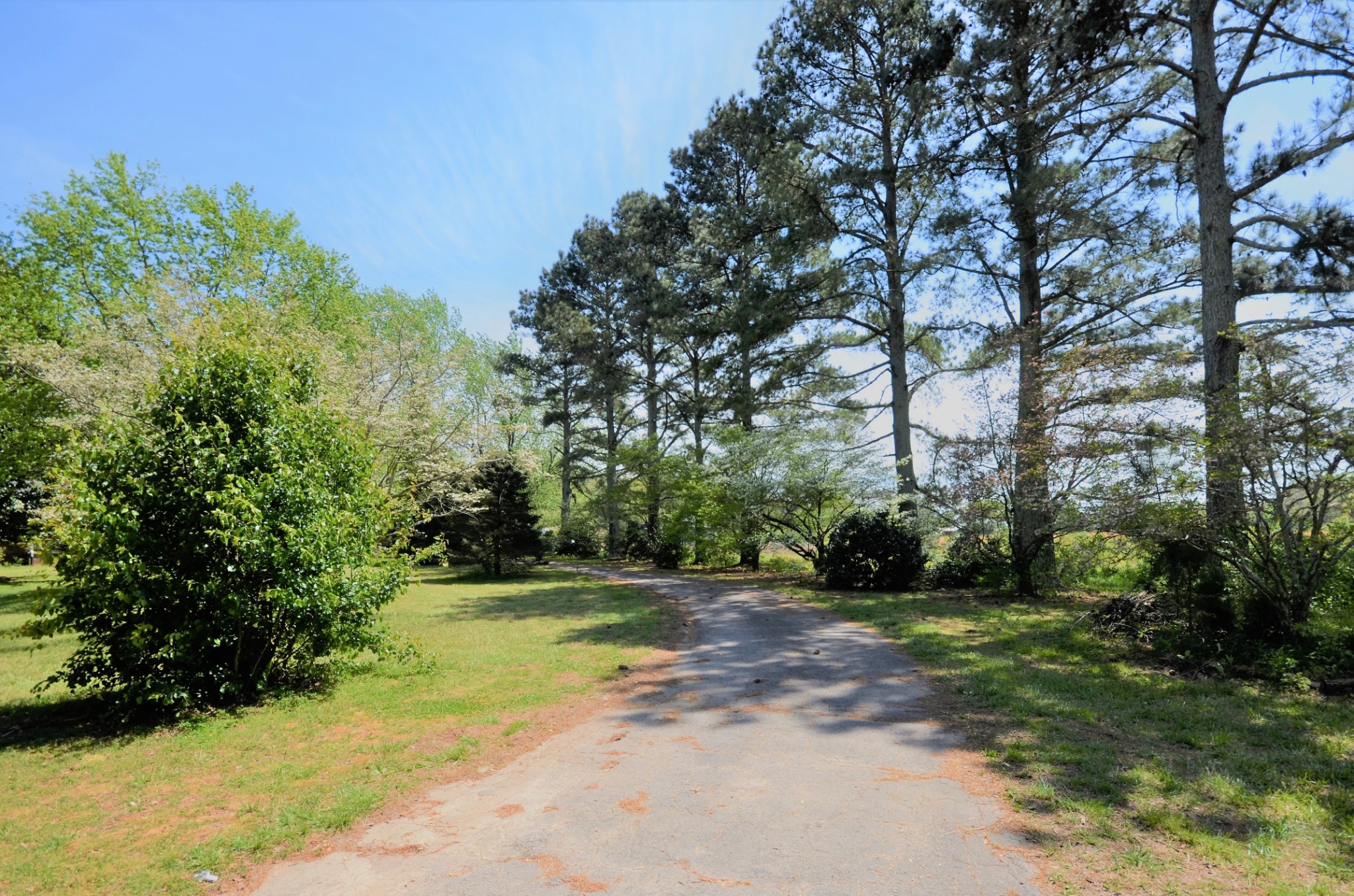 30 Remke Road Lawrenceburg, TN 38464 - Photo 4 of 49 a view of a yard with plants and large trees