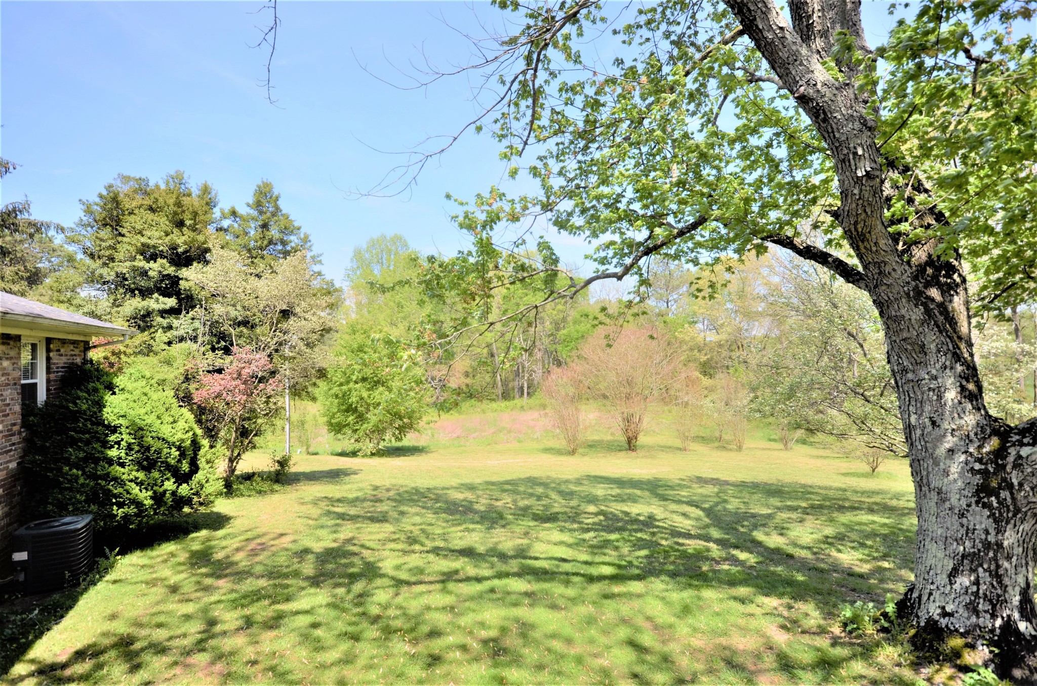30 Remke Road Lawrenceburg, TN 38464 - Photo 41 of 49 a view of yard with large trees