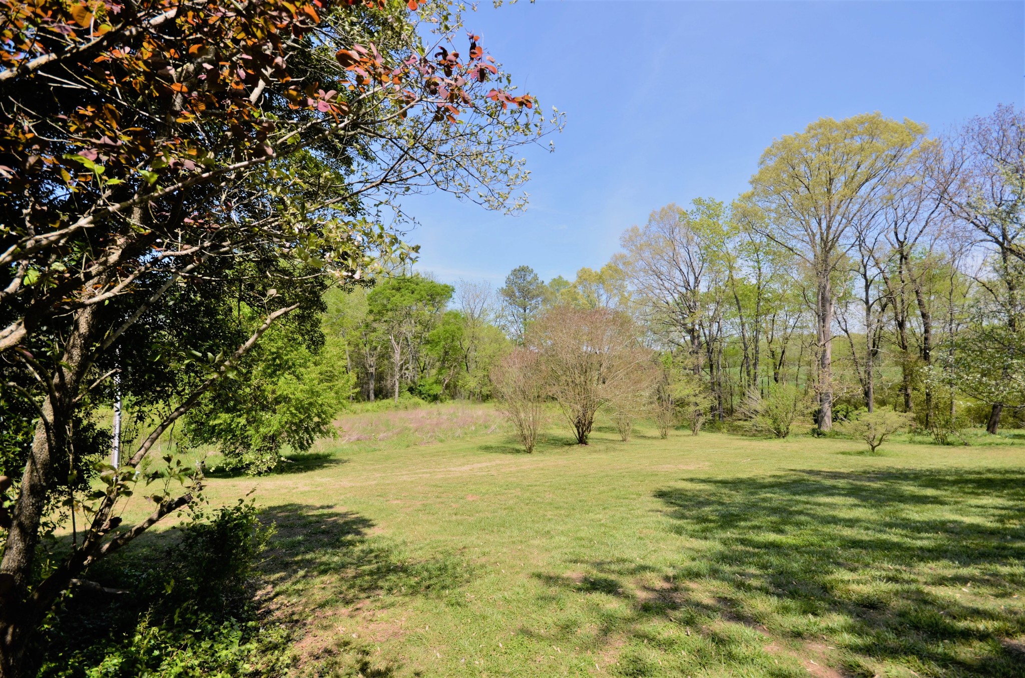 30 Remke Road Lawrenceburg, TN 38464 - Photo 42 of 49 a large yard with lots of green space and trees