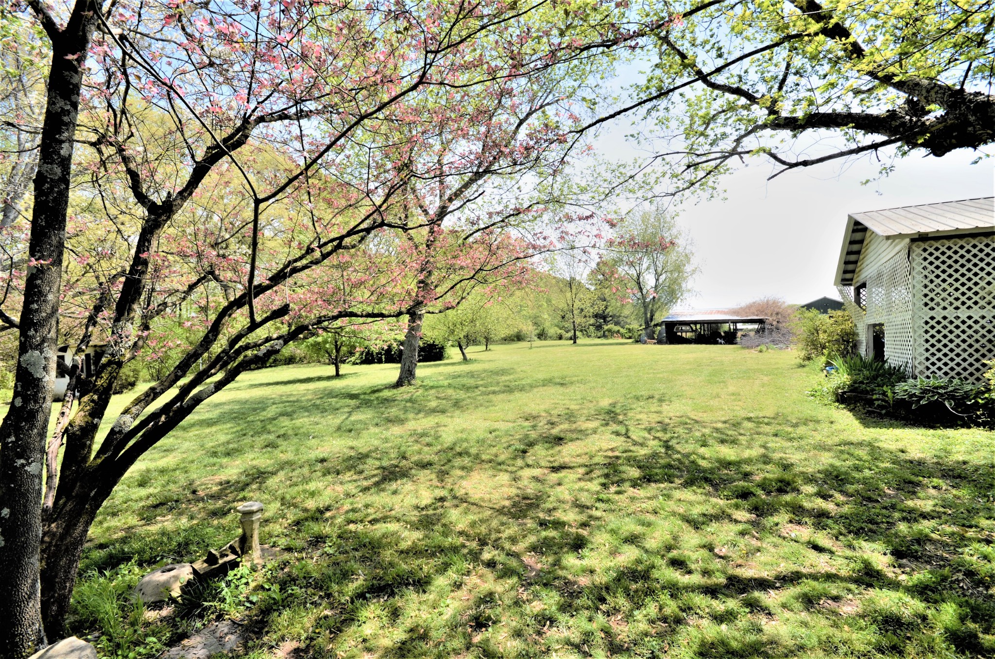 30 Remke Road Lawrenceburg, TN 38464 - Photo 44 of 49 a view of yard with tree