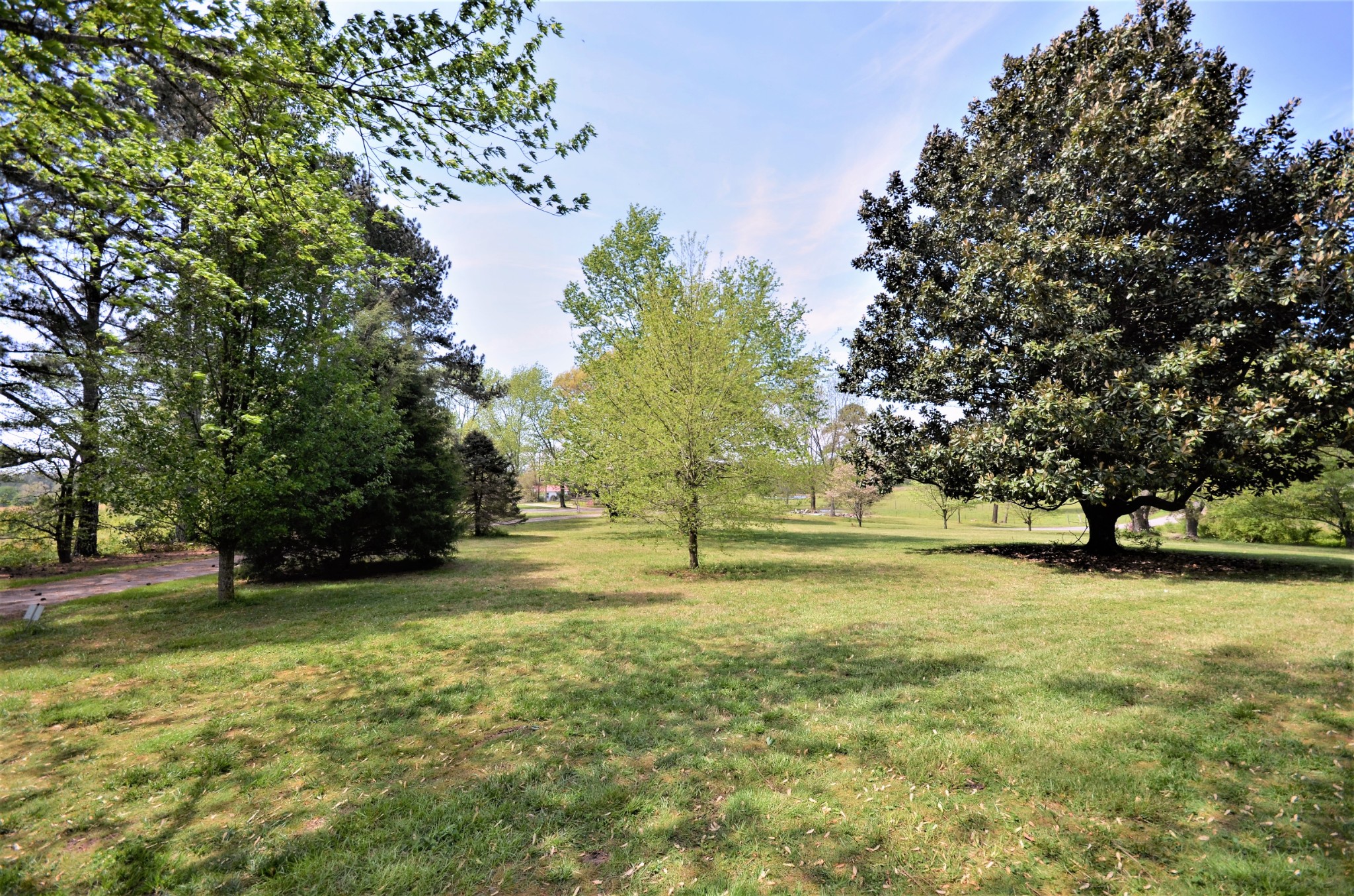 30 Remke Road Lawrenceburg, TN 38464 - Photo 45 of 49 a view of a yard with a tree