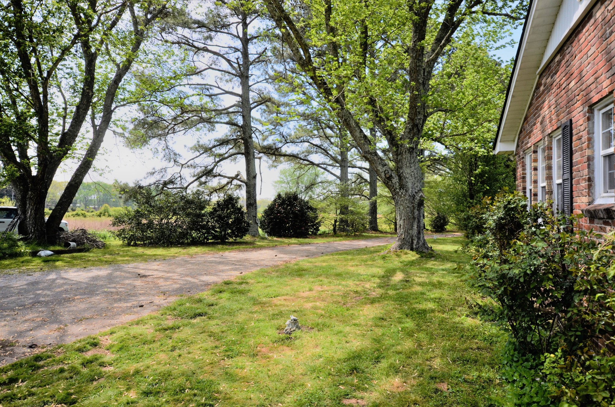 30 Remke Road Lawrenceburg, TN 38464 - Photo 6 of 49 a view of field with trees in the background