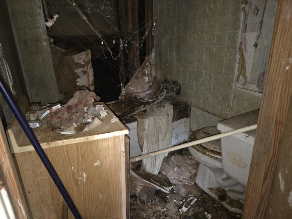 191 Merritt Circle Dallas, GA 30132 - Photo 7 of 10