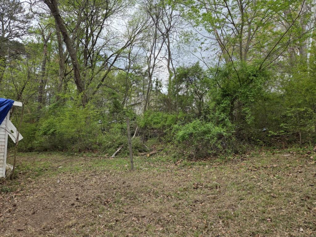 191 Merritt Circle Dallas, GA 30132 - Photo 10 of 10