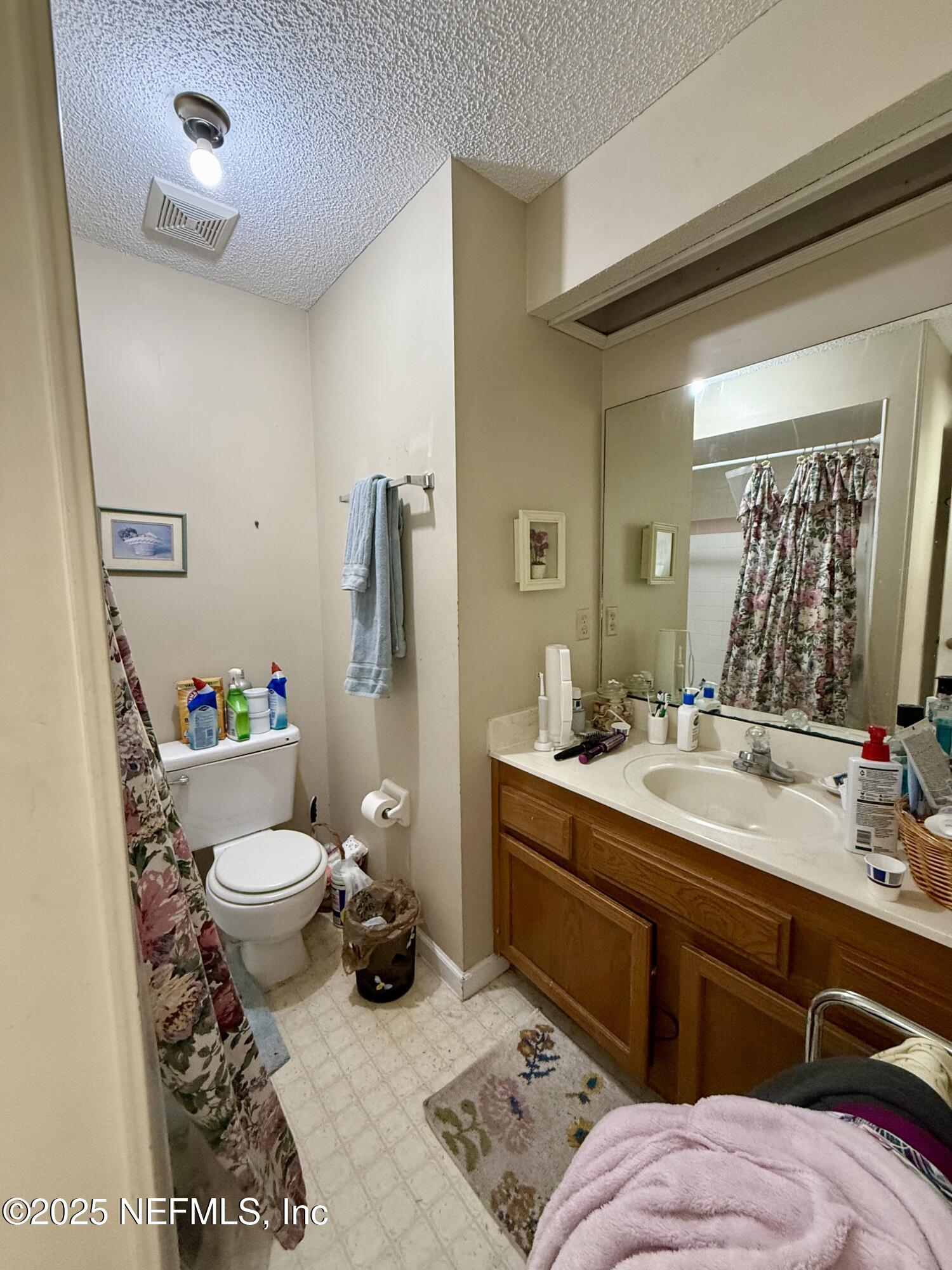 24 Azalea Avenue Middleburg, FL 32068 - Photo 18 of 36 Primary Bathroom