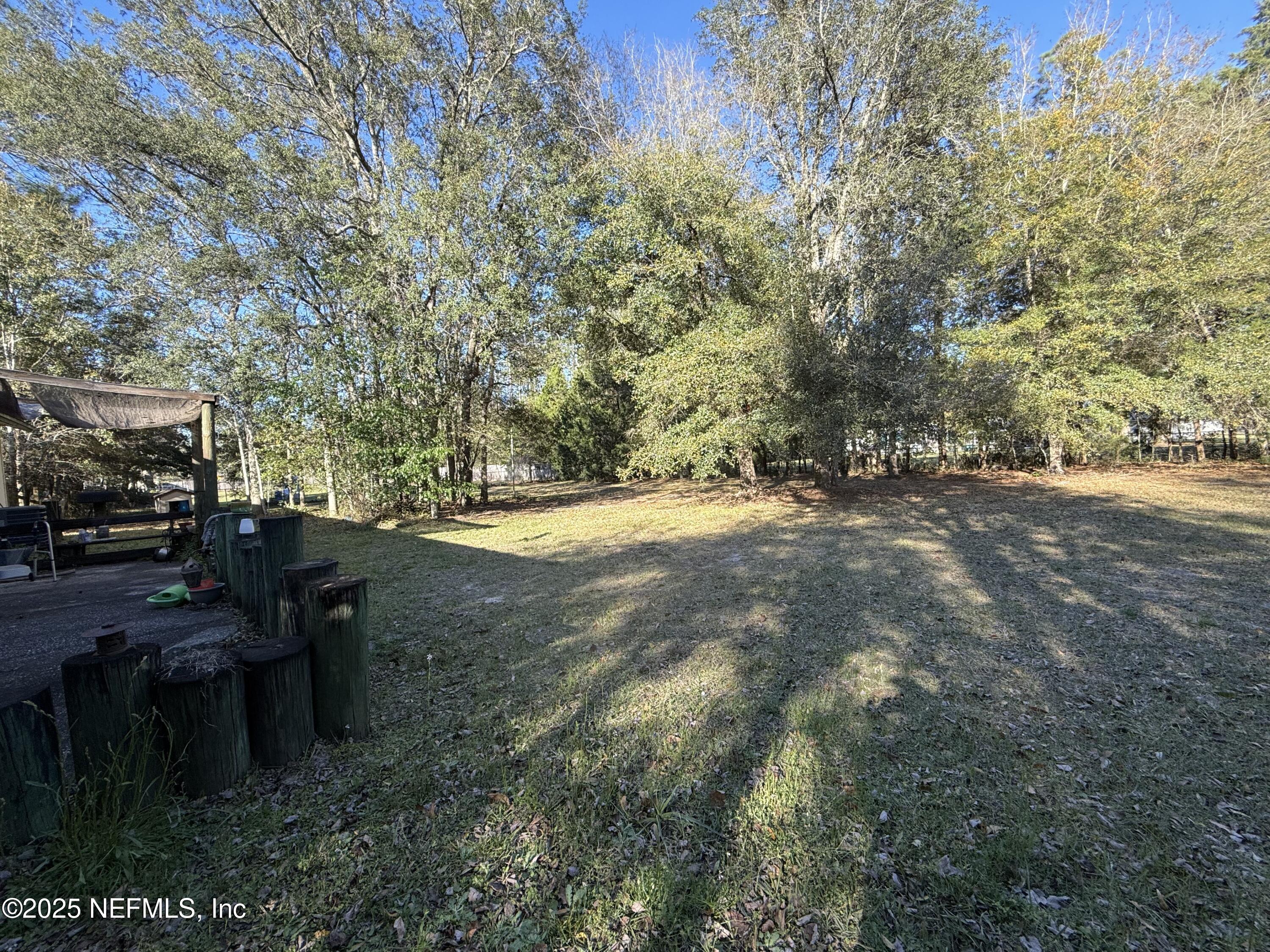 24 Azalea Avenue Middleburg, FL 32068 - Photo 27 of 36 Showing the large backyard