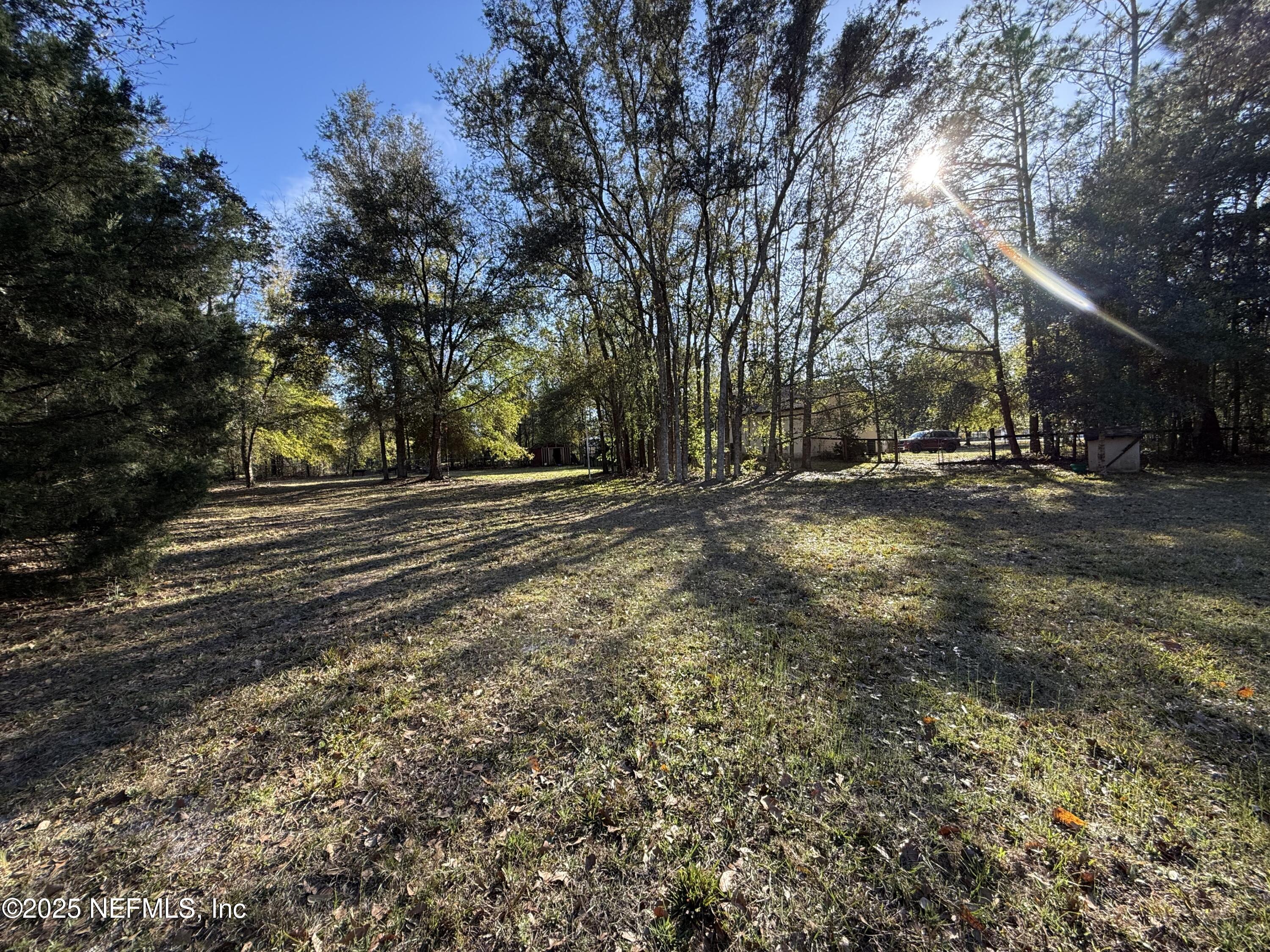24 Azalea Avenue Middleburg, FL 32068 - Photo 28 of 36 From back corner of property
