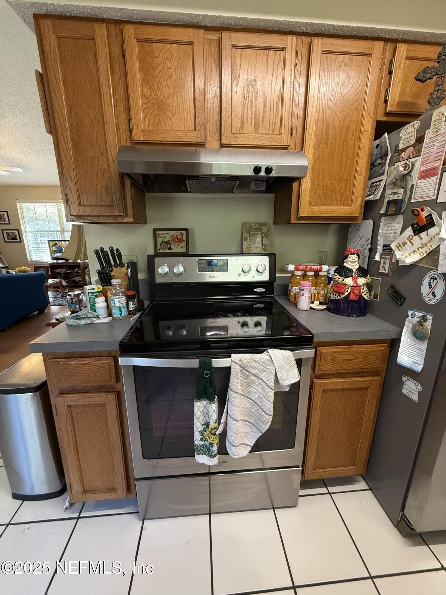 24 Azalea Avenue Middleburg, FL 32068 - Photo 9 of 36 Stainless Steel Appliances
