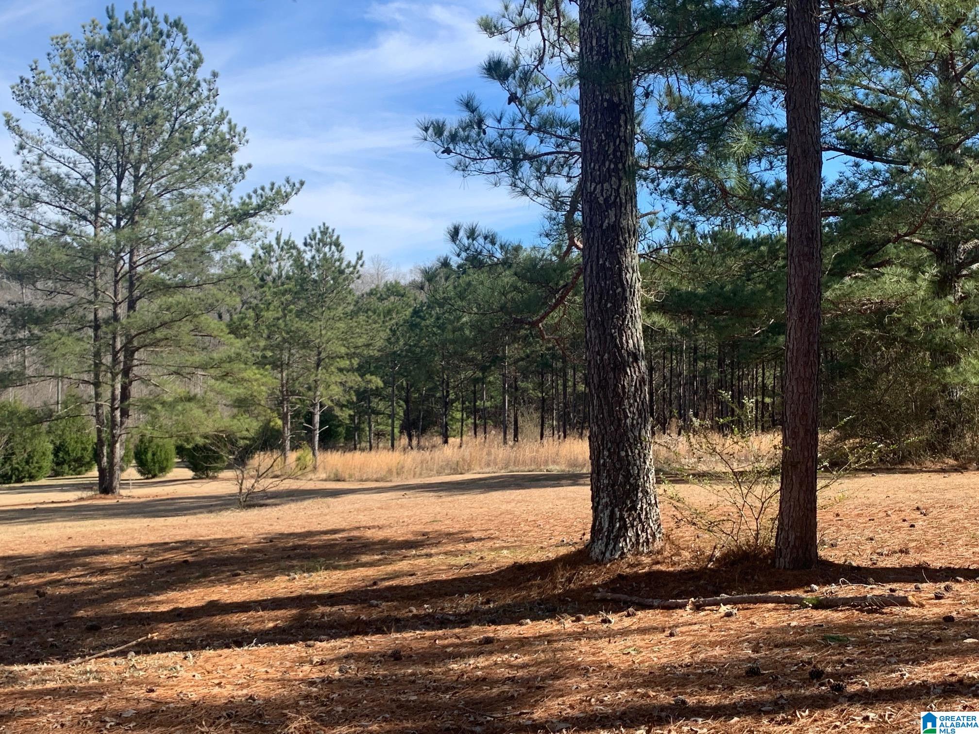 1404 Maxwellborn Road Piedmont, AL 36272 - Photo 34 of 36