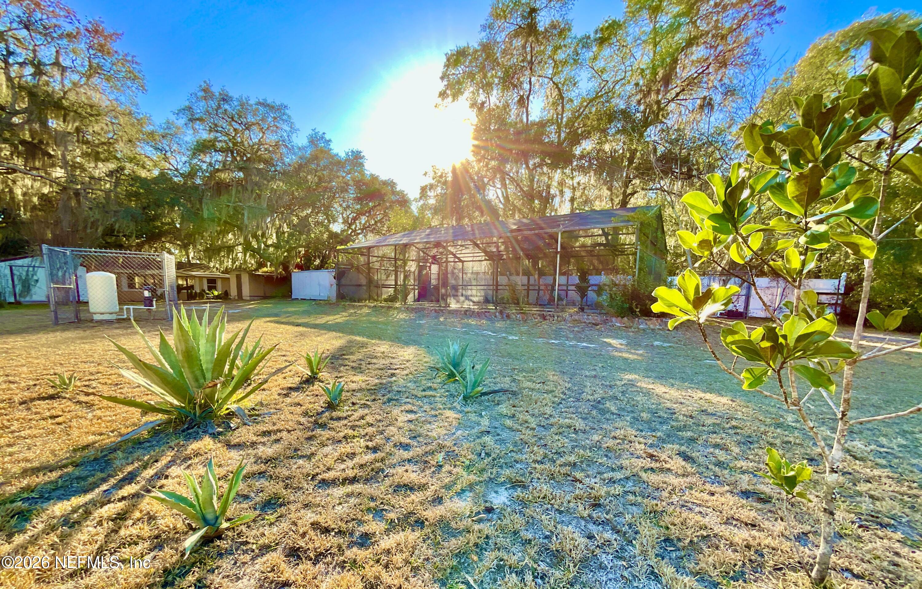111 2nd Street Melrose, FL 32666 - Photo 29 of 36 a view of a yard with plants and trees