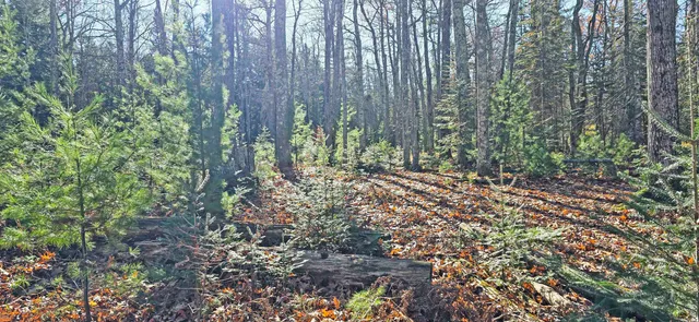 $149,900 | 685 Brian Road, La Pointe, WI 54850