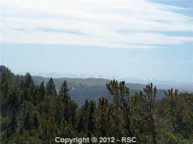 97 Paradiso Road Divide, CO 80814 - Photo 7 of 15