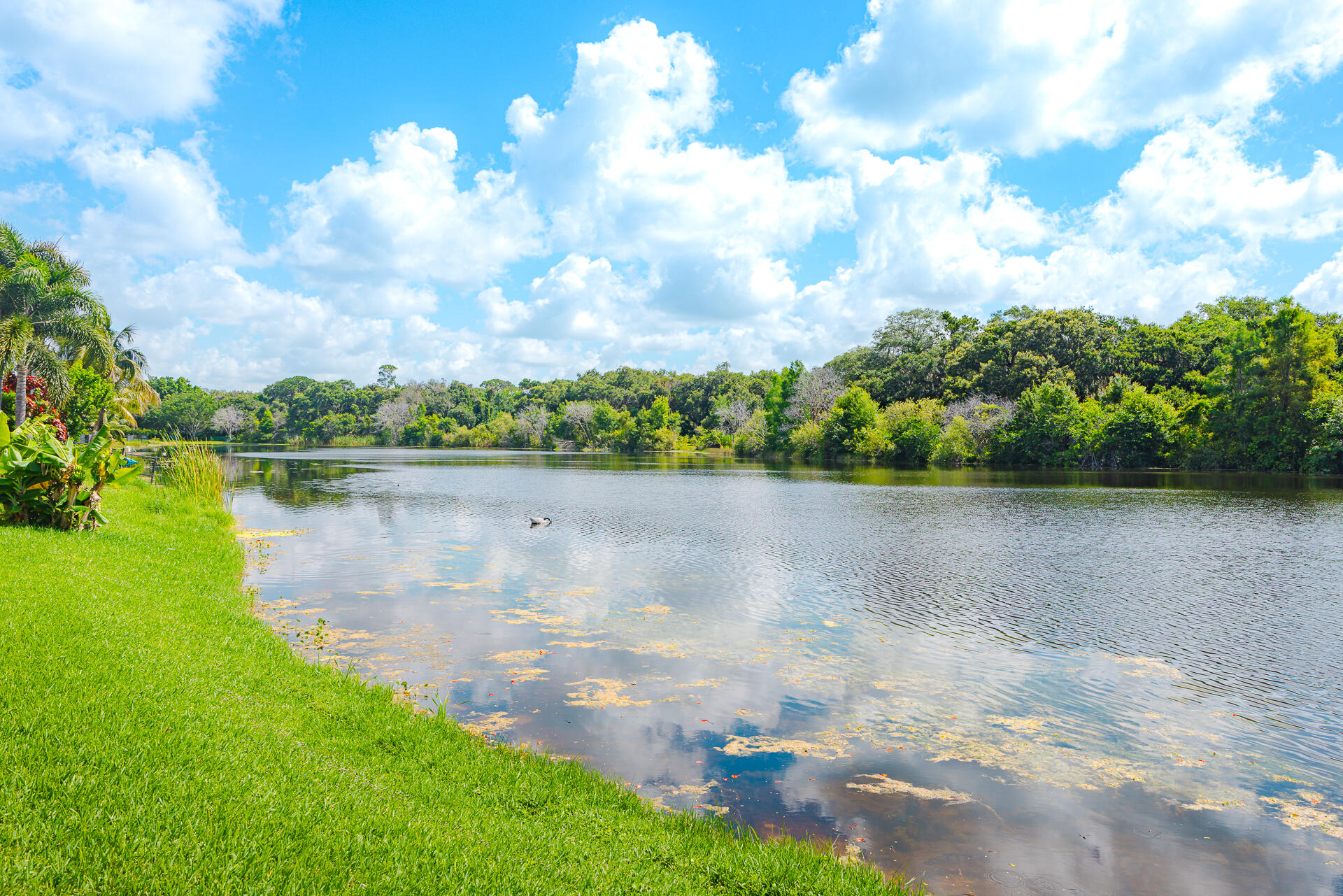 3302 Ridge Trace Davie, FL 33328 - Photo 33 of 41 3302RidgeTrace-35