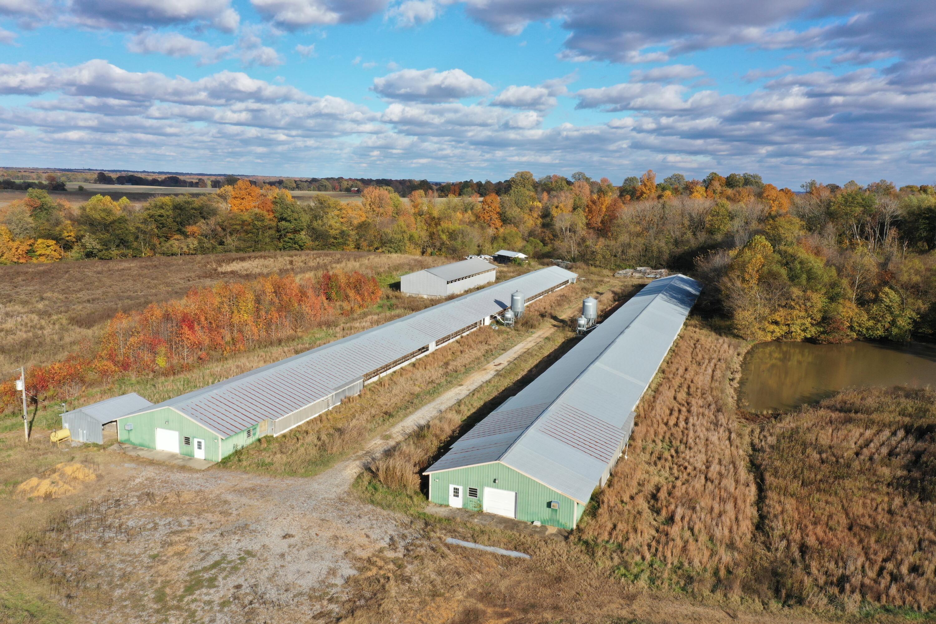 0 Grubbs Road Clinton, KY 42031 - Photo 3 of 15 DJI_0054