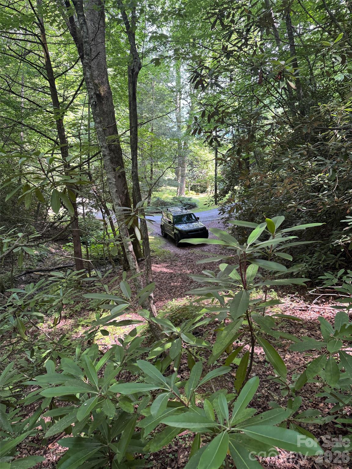 10 A Reserve Road Pisgah Forest, NC 28768 - Photo 12 of 33