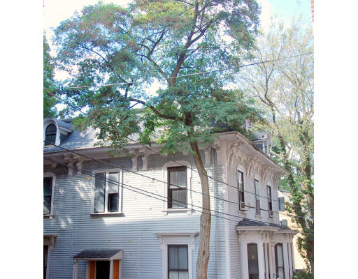 44 Follen Street Cambridge, MA 02138 - Photo 2 of 7 a view of a large building with a tree
