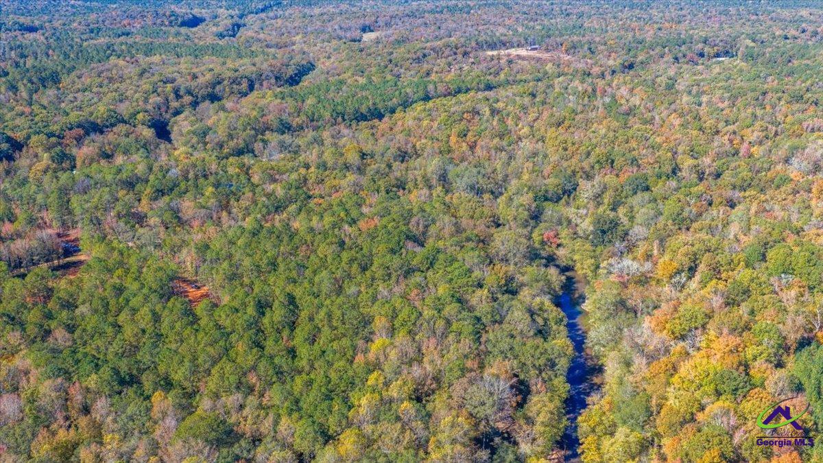 3271 Highway 42 Forsyth, GA 31029 - Photo 18 of 29